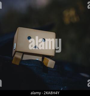 Eine Nahaufnahme eines Danbo, oder Danboard, der nachts aus einem Rucksack guckt Stockfoto