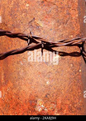 Detail von Stacheldraht mit scharfen Widerhaken auf rostigen Metallmasten Stockfoto