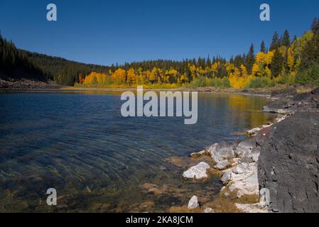 Ein alpiner See auf Colorado's Grand Mesa Stockfoto