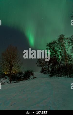 Eine vertikale Aufnahme von leuchtend grünen Nordlichtern über einem Hügel in Trondheim, Norwegen Stockfoto