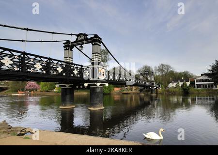 Die Fährbrücke über den Fluss Trent, Burton-upon-Trent-Stadt, Staffordshire, England; Großbritannien Stockfoto