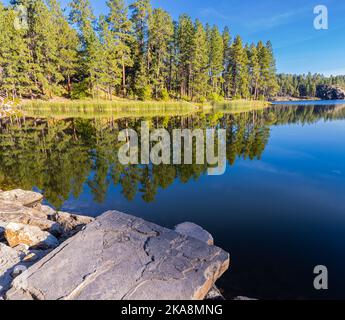Forest Covered Hills, die sich auf dem Horsethief Lake, Custer State Park, South Dakota, USA, spiegeln Stockfoto