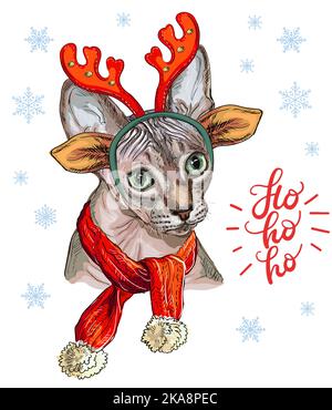 Handgezeichnete Vektor Illustration Poster niedliche Sphynx Katze in Schal und Hirschgeweih. Weihnachtskonzept. Ho-ho-ho-Schriftzug. Für Druck, Design, Stoff, por Stock Vektor