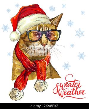 Weihnachtskarte mit lustigen niedlichen wichtigen Katze in weihnachtshut, Brille. Winterhintergrund mit Schneeflocken. Schriftzug Pullover Wetter. Vektorgrafik Stock Vektor