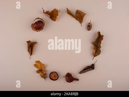 Herbsthintergrund mit trockenen Blättern. Stockfoto
