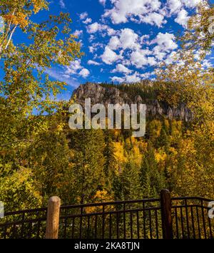 Herbstfarbe im Spearfish Canyon von Spearfish Falls Overlook, Spearfish Canyon State Natural Area, South Dakota, USA Stockfoto