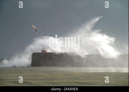 East Sussex, Großbritannien. 01.. November 2022. Newhaven East Sussex Großbritannien 1. Nov 22. Starke Winde und stürmische Meere vom Sturm Claudio schlagen den Leuchtturm und Hafen von Newhaven in East Sussex UK Credit: MARTIN DALTON/Alamy Live News Stockfoto