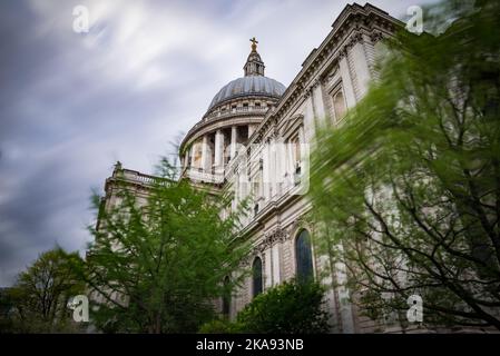 St Pauls Cathedral, London, von unten gesehen, mit der bewussten Bewegung des Himmels und der Bäume. Stockfoto