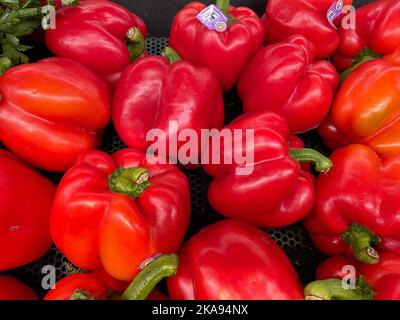 Augusta, GA USA - 12 22 21: Einzelhandel Frische Produkte ein paar rote Paprika Stockfoto