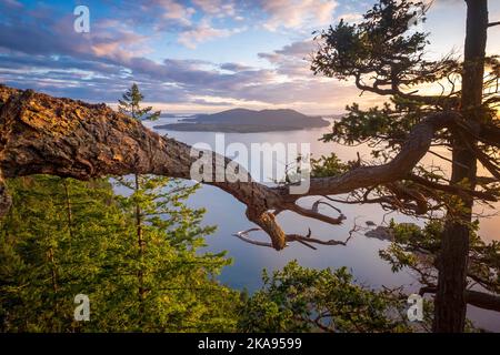 Blick auf die Straße von Rosario; Blick auf Baker Preserve, Lummi Island, Washington, USA; San Juan Islands; Cypress Island in der Ferne Stockfoto