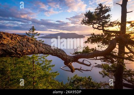 Blick auf die Straße von Rosario; Blick auf Baker Preserve, Lummi Island, Washington, USA; San Juan Islands; Cypress Island in der Ferne Stockfoto