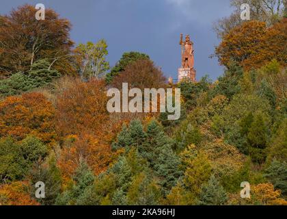 Melrose, Großbritannien. 01.. November 2022. Schottland Wetter, Herbst. Herbstliche Farben auf den Bäumen unter der William Wallace Statue in der Nähe des Geländes des Bemersyde Estate, in der Nähe von Melrose in den Scottish Borders, ist eine Statue, die William Wallace gedenkt. Sie wurde von David Steuart Erskine, 11. Earl of Buchan, in Auftrag gegeben.die Statue wurde von John Smith von Darnick aus rotem Sandstein gefertigt und 1814 errichtet. Sie ist 31 Fuß (9,4 m) hoch und zeigt Wallace mit Blick auf den Fluss Tweed. Bildnachweis: phil wilkinson/Alamy Live News Stockfoto