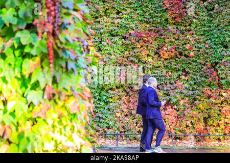 London, Großbritannien. 01.. November 2022. Die Menschen gehen in der warmen Herbstsonne. Der virginia Creeper (Parthenocissus quinquefolia) auf der Admiralty Citadel an der Horse Guards Road in London hat begonnen, seine wunderschönen Herbstfarben zu zeigen. Kredit: Imageplotter/Alamy Live Nachrichten Stockfoto