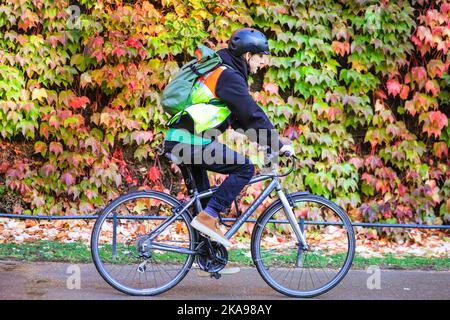 London, Großbritannien. 01.. November 2022. Die Menschen gehen in der warmen Herbstsonne. Der virginia Creeper (Parthenocissus quinquefolia) auf der Admiralty Citadel an der Horse Guards Road in London hat begonnen, seine wunderschönen Herbstfarben zu zeigen. Kredit: Imageplotter/Alamy Live Nachrichten Stockfoto