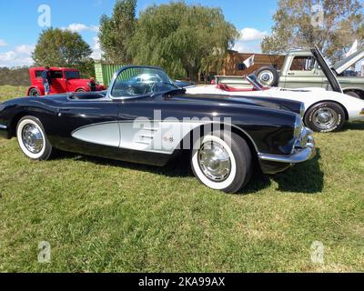 Alte schwarz-weiße Sport Chevrolet Corvette C1 zwei-Türer Cabriolet 1958 von GM . Naturrasen und Bäume. Klassisches Racing Muscle Car. Copyspace Stockfoto