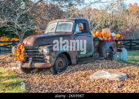 Ein alter rostiger Oldtimer-LKW, der im Freien sitzt und mit Herbstferien dekoriert ist, mit einem Kürbismann, der den LKW fährt, und anderen Kürbissen im Rücken auf einem Stockfoto