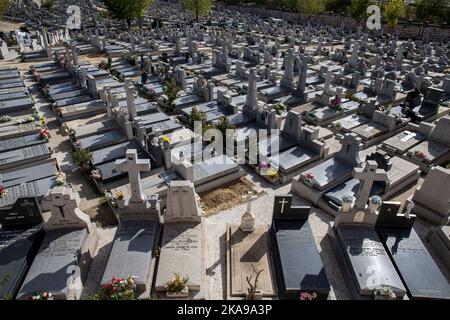 Madrid, Spanien. 01.. November 2022. Auf dem Almudena-Friedhof in Madrid schmücken Menschen die Gräber von Verwandten während der Feier des Allerheiligen. Es ist eine christlich-katholische Tradition, die Friedhofs und Gräber der Verstorbenen zu besuchen, um sie am Allerheiligen zu schmücken und zu erinnern. Der Almudena-Friedhof ist zu Ehren des schutzpatrons von Madrid benannt, er ist der größte Friedhof in Westeuropa. Kredit: SOPA Images Limited/Alamy Live Nachrichten Stockfoto