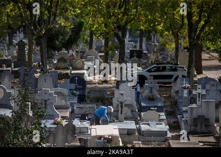 Madrid, Spanien. 01.. November 2022. Eine Frau schaut während der Feier des Allerheiligen auf das Grab eines Verwandten auf dem Almudena-Friedhof in Madrid. Es ist eine christlich-katholische Tradition, die Friedhofs und Gräber der Verstorbenen zu besuchen, um sie am Allerheiligen zu schmücken und zu erinnern. Der Almudena-Friedhof ist zu Ehren des schutzpatrons von Madrid benannt, er ist der größte Friedhof in Westeuropa. Kredit: SOPA Images Limited/Alamy Live Nachrichten Stockfoto