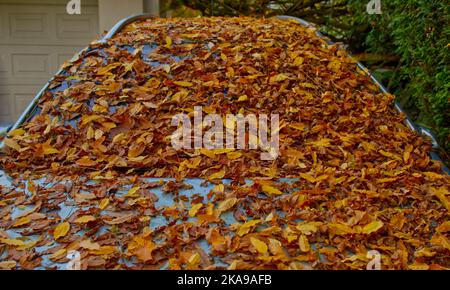 Vorder- und Oberseite eines geparkten Autos, das im Herbst völlig mit heruntergefallenen Blättern bedeckt war Stockfoto