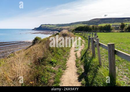 Whitby, Großbritannien: Küstenpfad am Cleveland Way in der Nähe von Robin Hood's Bay mit Blick auf Ravenscar Stockfoto