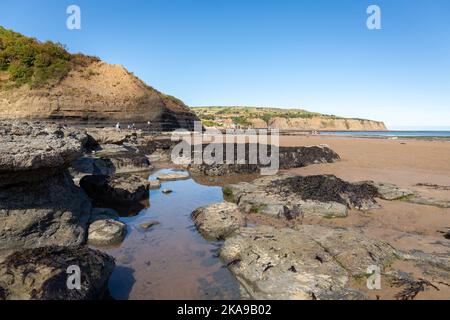 Robin Hood's Bay, Großbritannien: Felsbecken und Algen bei Ebbe unter den Klippen des beliebten North Yorkshire Resorts. Stockfoto