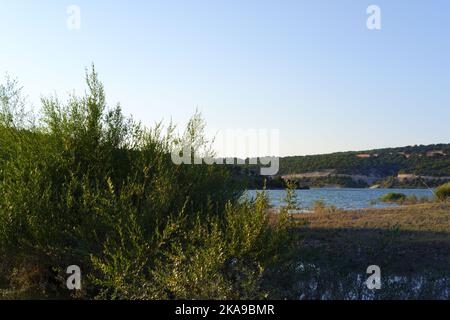 Hügel über dem See, Bäume und Büsche am Seeufer. Stockfoto