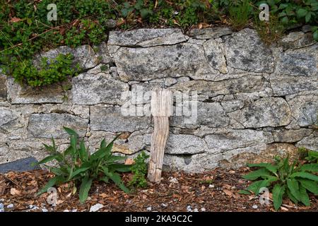 Wald in Bayern im Frühling blüht alles im Holz und erwacht zu neuem Leben Stockfoto