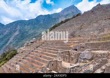 Die Terrassen von Machu Picchu, Peru. Ein Großteil der Landwirtschaft in Machu Picchu wurde auf Hunderten von künstlichen Terrassen durchgeführt Stockfoto