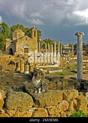 Kirche Agia Kyriaki, Basilika { Chrysopolitissa } Paphos, Zypern Stockfoto