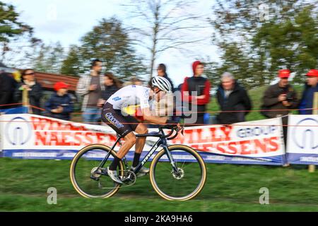 Melden, Belgien, 01. November 2022. Der Belgier Jens Adams, der am Dienstag, dem 01. November 2022, beim Herrenrennen beim Koppenbergcross, dem ersten Rennen (von acht) der Badkamers-Trophäe X2O, in Melden, in Aktion war. BELGA FOTO DAVID PINTENS Stockfoto