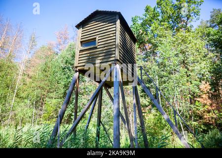 Jagdkiste stehen im Wald. Stockfoto