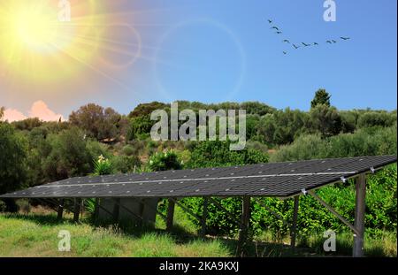 Schwarze Solarbatterien im Garten. Grüner Garten mit Sonnenkollektoren für Sonnenenergie, Klimaanpassung und Förderung der Biodiversität. Stockfoto