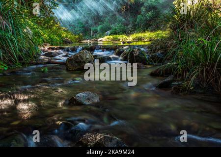 Der wunderschöne Booloumba Creek fließt auf Felsen, umgeben von Büschen und Sonnenstrahlen in Queensland Stockfoto