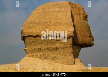 Eine Nahaufnahme der Großen Sphinx in Gizeh, Ägypten, vor einem nebligen Himmel Stockfoto