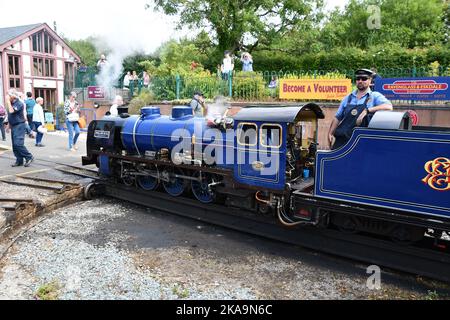 Dampflokomotive Whillan Beck auf dem Drehteller am Bahnhof Ravenglass bereitet sich darauf vor, Passagiere auf der 7 Kilometer-Strecke von Ravenglass nach D zu befördern Stockfoto