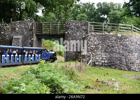 Dampflokomotive Whillan Beck, die unter einer der Stein- und Holzbrücken auf der 7 Kilometer lange Strecke von Ravenglass nach Dalegarth auf der Rave vorbeifährt Stockfoto