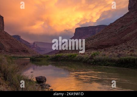 Farbenfrohe Mammatuswolken bei Sonnenuntergang über den Fisher Towers und dem Colorado River in der Nähe von Moab, Utah. Stockfoto