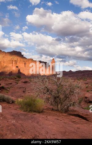 Spotlighter auf den Fisher Towers in der Nähe von Moab, Utah. Der Titan, rechts, ist der höchste freistehende Monolith in den USA Stockfoto