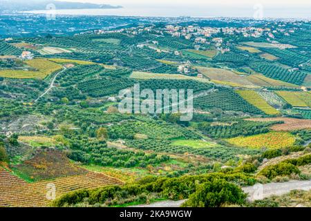 Luftaufnahme der Landschaft mit Olivenbäumen und Bergen auf Kreta. Stockfoto