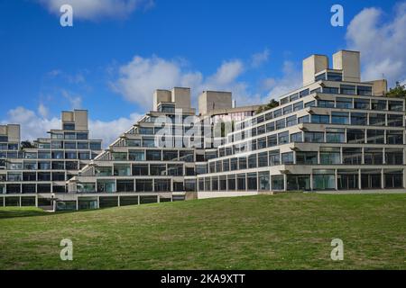 Studentenwohnungen, bekannt als die Ziggurats, an der University of East Anglia, Norwich, entworfen von Sir Denys Lasdun im Jahr 1960s Stockfoto