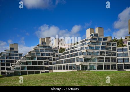 Studentenwohnungen, bekannt als die Ziggurats, an der University of East Anglia, Norwich, entworfen von Sir Denys Lasdun im Jahr 1960s Stockfoto