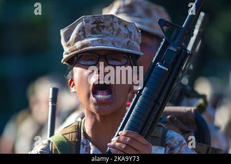 Parris Island, South Carolina, USA. 20. Oktober 2022. Rekruten mit Oscar Company, 4. Rekrut Training Bataillon, manövrieren durch Hindernisse auf dem Vertrauenskurs an Bord des Marine Corps Recruit Depot Parris Island, S.C., Oktober. 20, 2022. Der Vertrauenskurs besteht aus verschiedenen Hindernissen, die Rekruten sowohl körperlich als auch geistig herausfordert. Quelle: U.S. Marines/ZUMA Press Wire Service/ZUMAPRESS.com/Alamy Live News Stockfoto