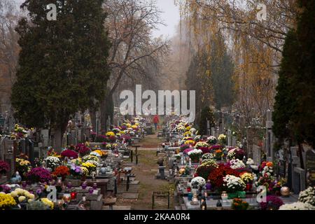Warschau, Polen. 01.. November 2022. Am 01. November 2022 werden Besucher am Allerheiligen-Tag auf dem Brodno-Friedhof in Warschau, Polen, gesehen. (Foto von Jaap Arriens/Sipa USA) Quelle: SIPA USA/Alamy Live News Stockfoto