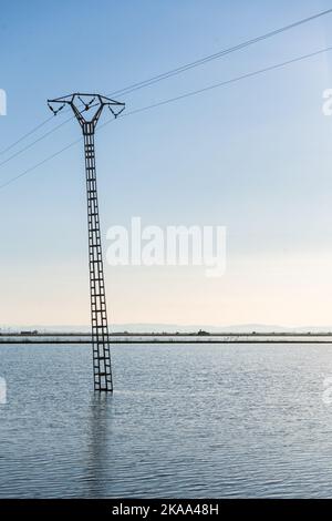 Schiefe elektrische Masten in der Mitte eines überfluteten Reisfeldes. Konzept der elektrischen Energie Stockfoto