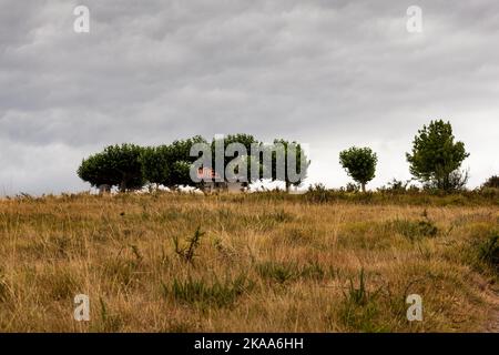 Blick auf die Capilla de Soyartz entlang der Chemin du Puy, französische Route des Jakobswegs, Frankreich Stockfoto