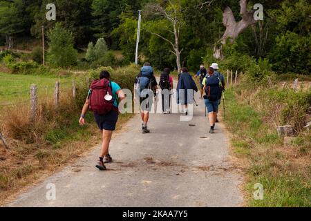 Pilgergruppe auf dem Jakobsweg, der französischen Route Chemin du Puy, Frankreich Stockfoto