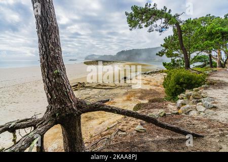 Schöner Strand von Rodas, auf den Cies-Inseln in Galicien, Spanien. Stockfoto