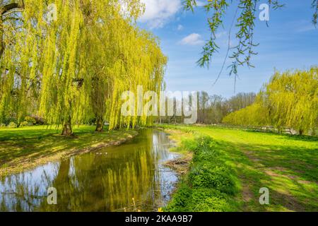 Der Fluss Blackwater bei Coggeshall Essex, im Frühjahr. Stockfoto