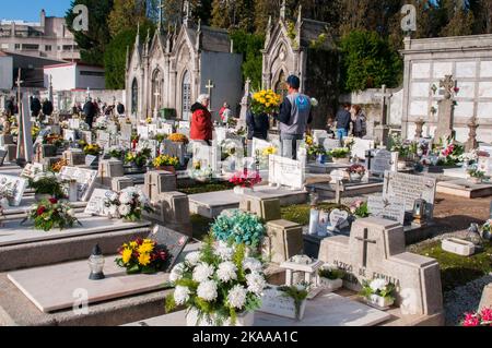 Porto, Portugal. 01.. November 2022. Blick auf den Friedhof von Lordello do Ouro, der mit Blumen von Angehörigen in Porto geschmückt ist. Im November 1. erinnern sich die Familien an ihre verstorbenen Angehörigen. Eine Tradition, die seit Hunderten von Jahren besteht. Papst Gregor III. Hat im 7.. Jahrhundert allen Heiligen eine Kapelle im Petersdom geweiht. Es war im 9.. Jahrhundert, dass Papst Gregor IV. Dieses Fest für die ganze Kirche. Kredit: SOPA Images Limited/Alamy Live Nachrichten Stockfoto