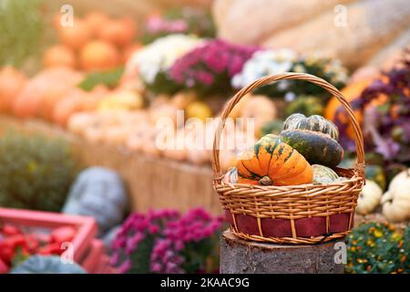 Erntefest mit Herbstkürbissen und Gemüse. Verkauf von landwirtschaftlichen Nutzpflanzen auf dem Freiluftmarkt nach dem Feiertag Stockfoto